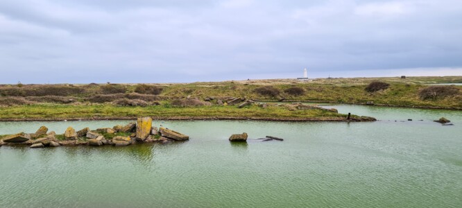 South Walney Nature Reserve 13