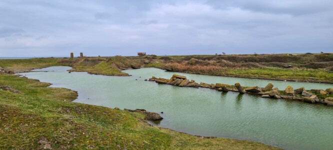 South Walney Nature Reserve 22