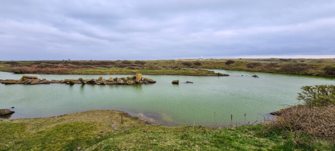 South Walney Nature Reserve 4