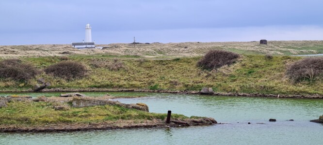 South Walney Nature Reserve 5