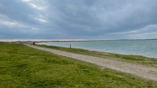 South Walney Nature Reserve 28