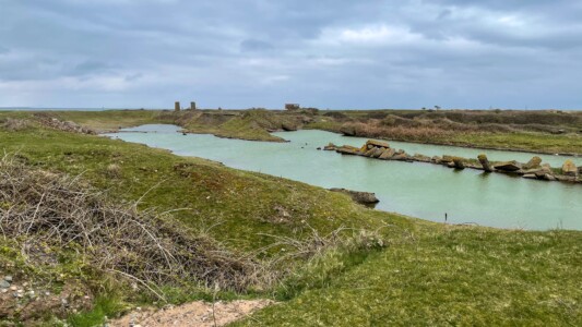 South Walney Nature Reserve 27