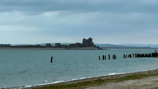 South Walney Nature Reserve 20