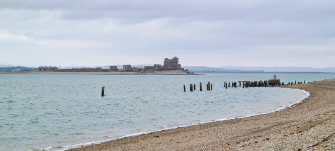 South Walney Nature Reserve 7