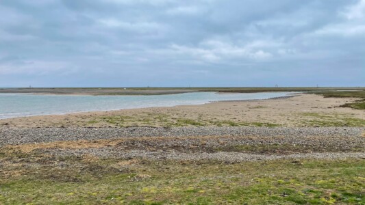 South Walney Nature Reserve 23