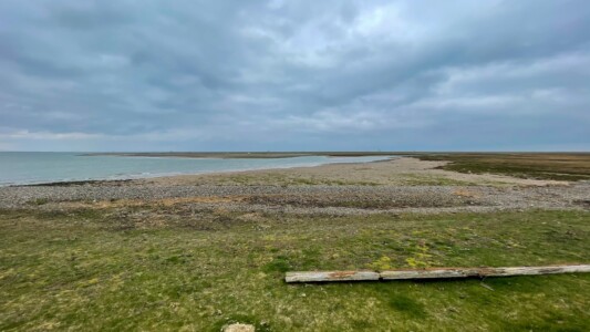 South Walney Nature Reserve 26