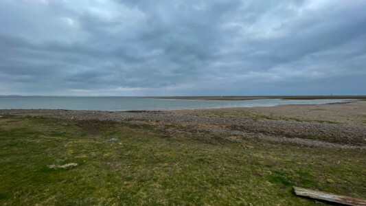 South Walney Nature Reserve 9