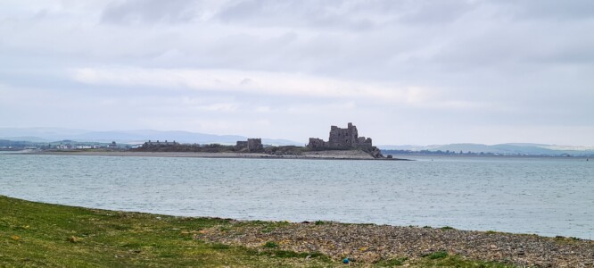 South Walney Nature Reserve 21