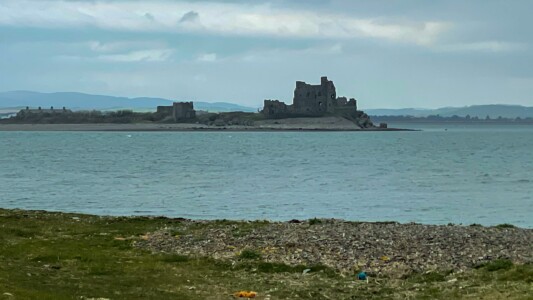 South Walney Nature Reserve 19