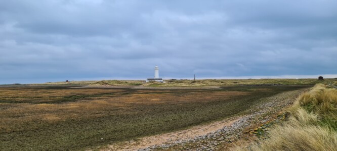 South Walney Nature Reserve 10