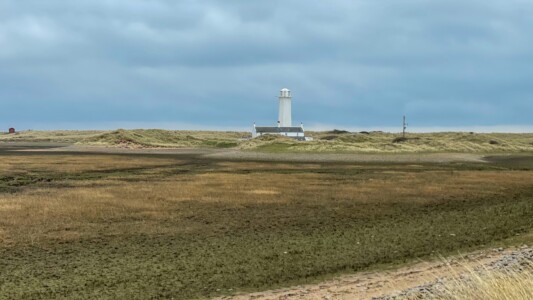 South Walney Nature Reserve 8