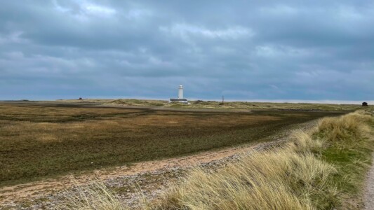 South Walney Nature Reserve 1