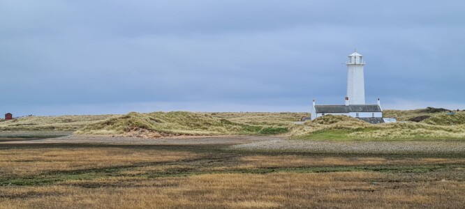South Walney Nature Reserve 12