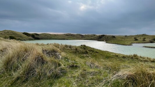 South Walney Nature Reserve 16