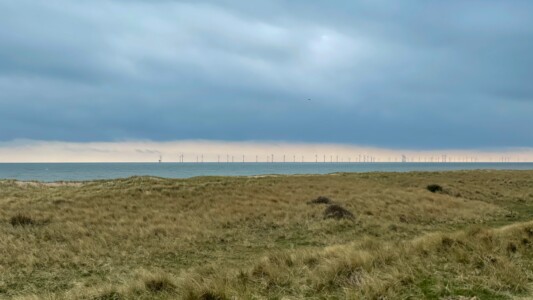 South Walney Nature Reserve 29