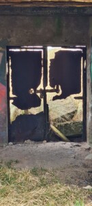 South Walney Nature Reserve 15