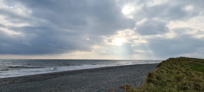 South Walney Nature Reserve 2