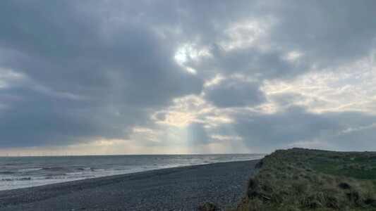South Walney Nature Reserve 3