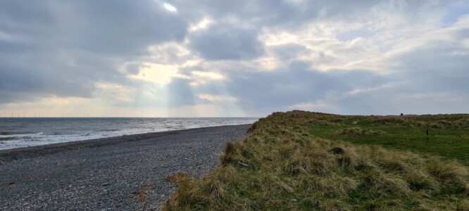 South Walney Nature Reserve 14