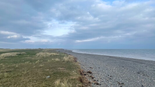South Walney Nature Reserve 30