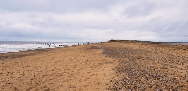 Spurn 9