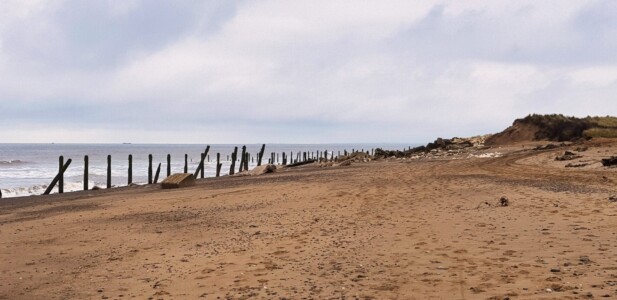 Spurn 35