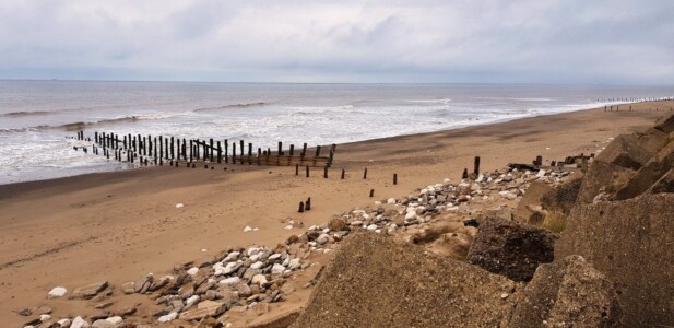Spurn 50