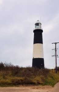 Spurn 5