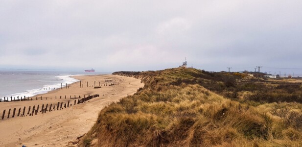 Spurn 2