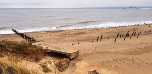 Spurn 15