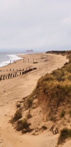 Spurn 22