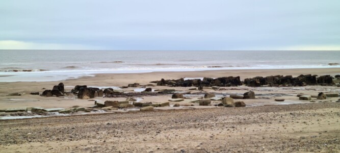 Spurn 46