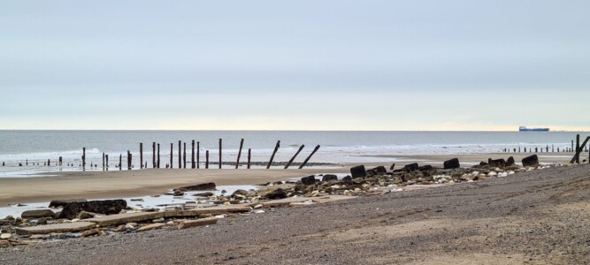 Spurn 33