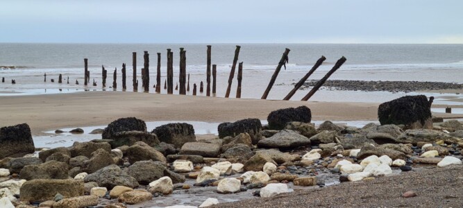 Spurn 25
