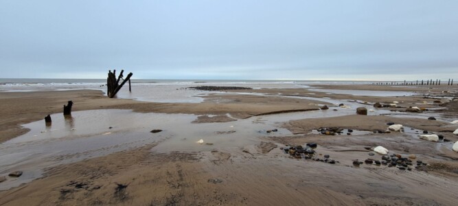 Spurn 36