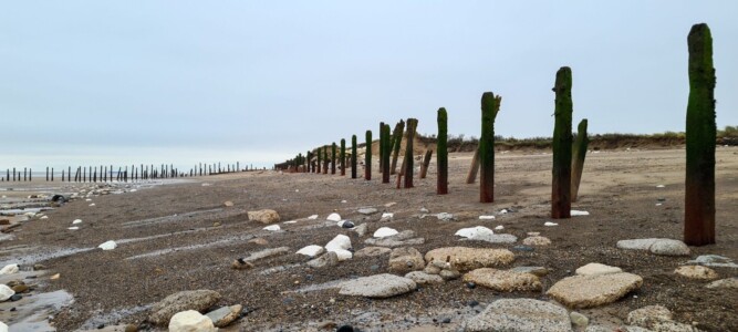 Spurn 13