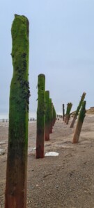 Spurn 39