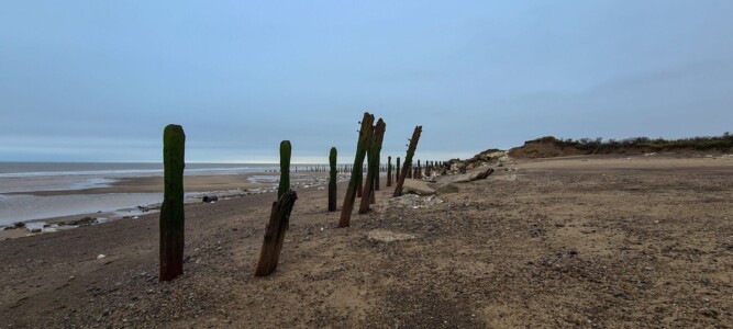 Spurn 26