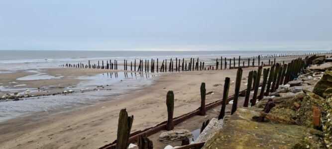 Spurn 48