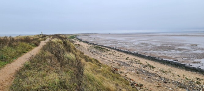 Spurn 53