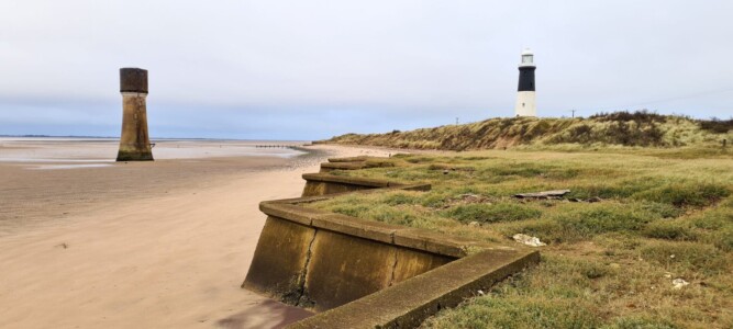 Spurn 12