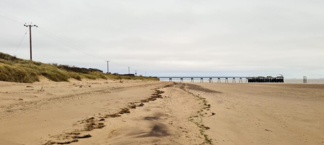 Spurn 27