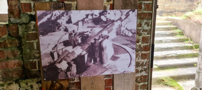Spurn 24