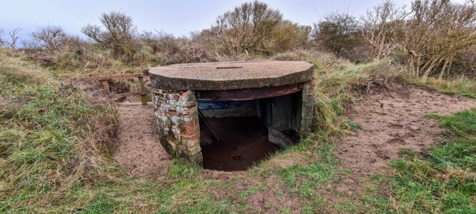 Spurn 21