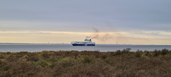 Spurn 49
