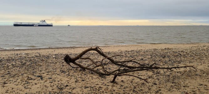 Spurn 31