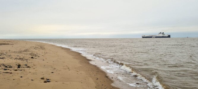 Spurn 37
