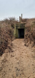 Spurn 29