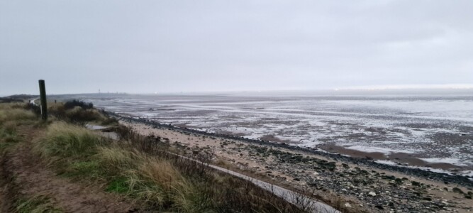 Spurn 44