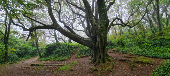 St Catherine's Castle 32